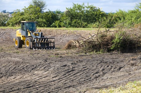 Boston Land Clearing